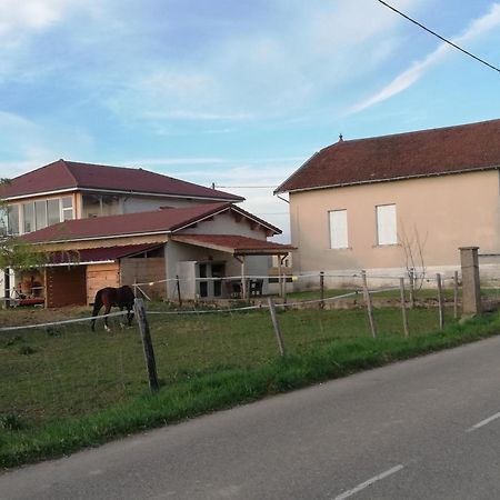 Maison De 100M2 Au Coeur D'Une Pension Equestre Les Sabots De Nina Marcollin Exterior photo